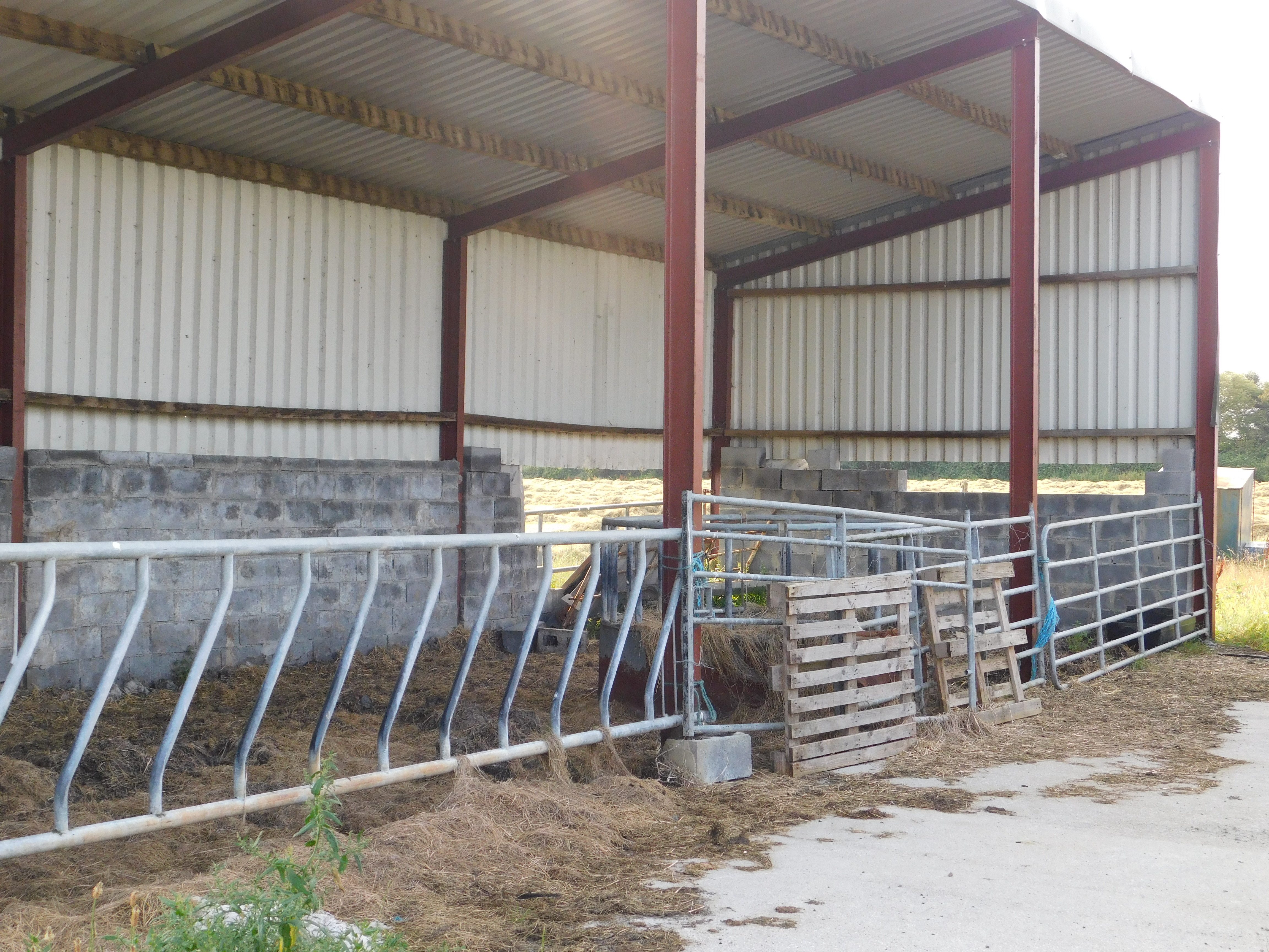 Farming: Looking back and forward on Susie’s maiden spin