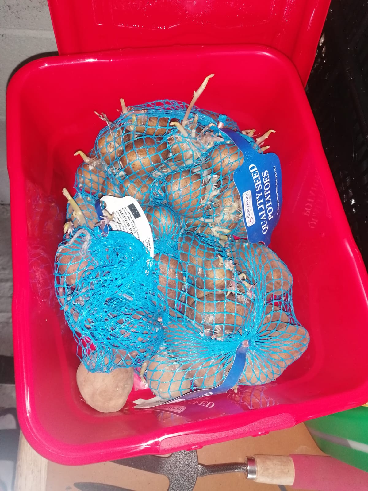 Watch “The Grand Old Dukes Of York” on YouTube