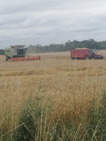 Two sides to every story on day of Royal drama