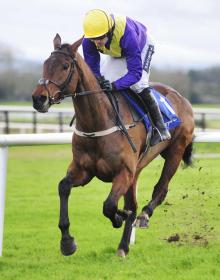 Selections for Listowel – Sept. 20th 2021