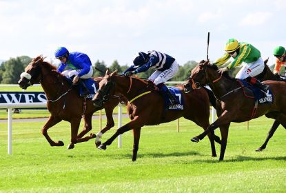 Selections For Clonmel – Sept. 2nd 2021