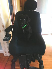 In the dog house now…or his bed at least!