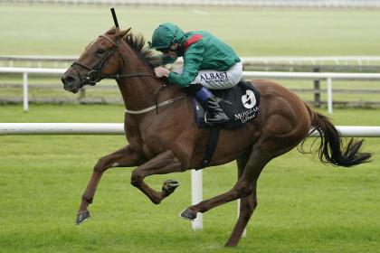 Selections for Leopardstown – Sept. 11th 2021