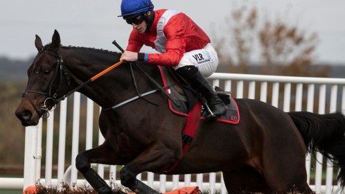 Selections for Punchestown – Oct. 12th 2021