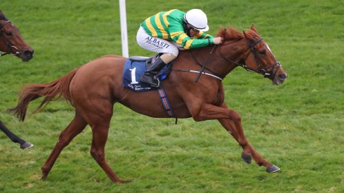 Selections for Naas – Oct. 17th 2021