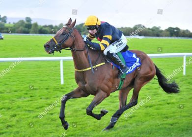 Selections for Down Royal – Oct. 29th 2021