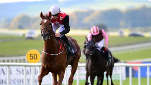 Selections for Punchestown – Nov. 13th 2021