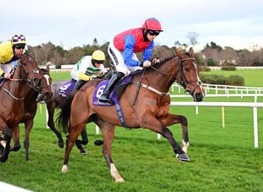 Selections for Leopardstown – Feb. 5th 2022