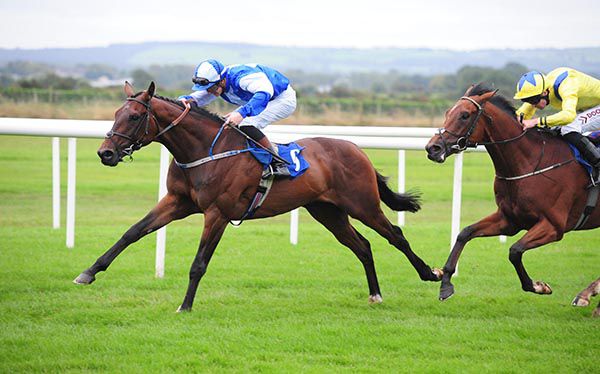 Selections for Leopardstown – Aug. 4th 2022