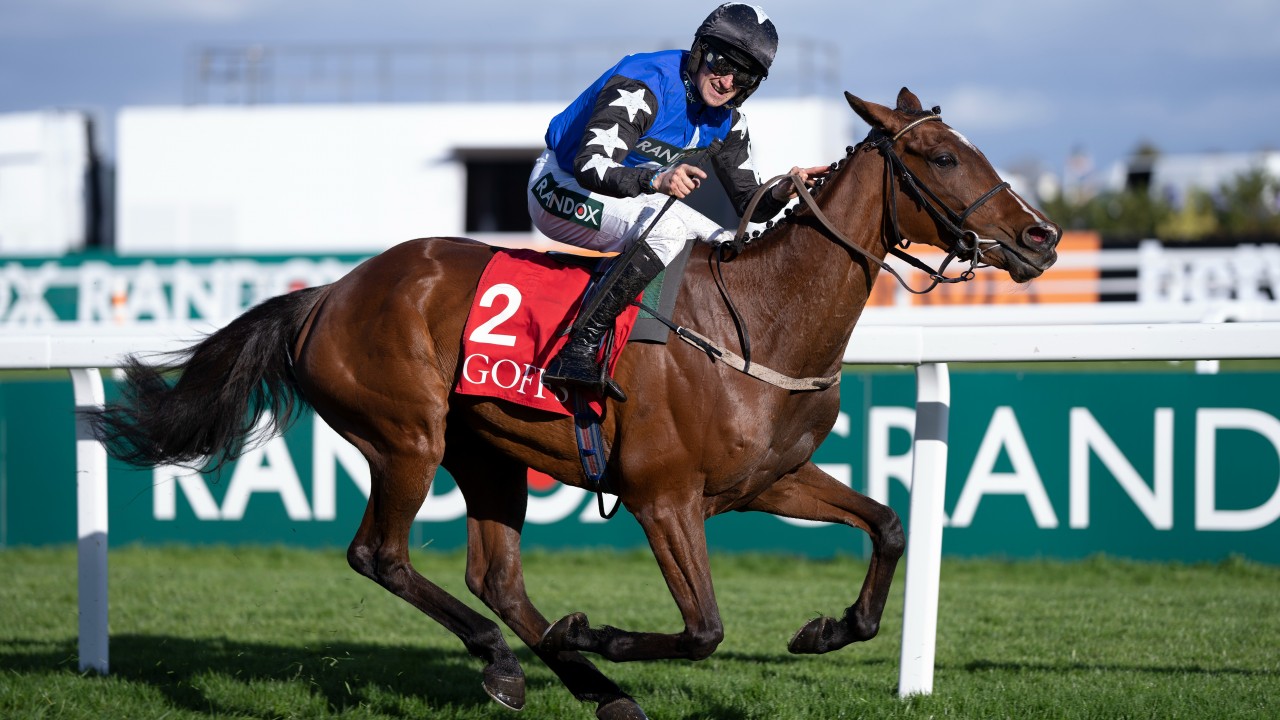 Selections for Fairyhouse – Jan. 28th 2023