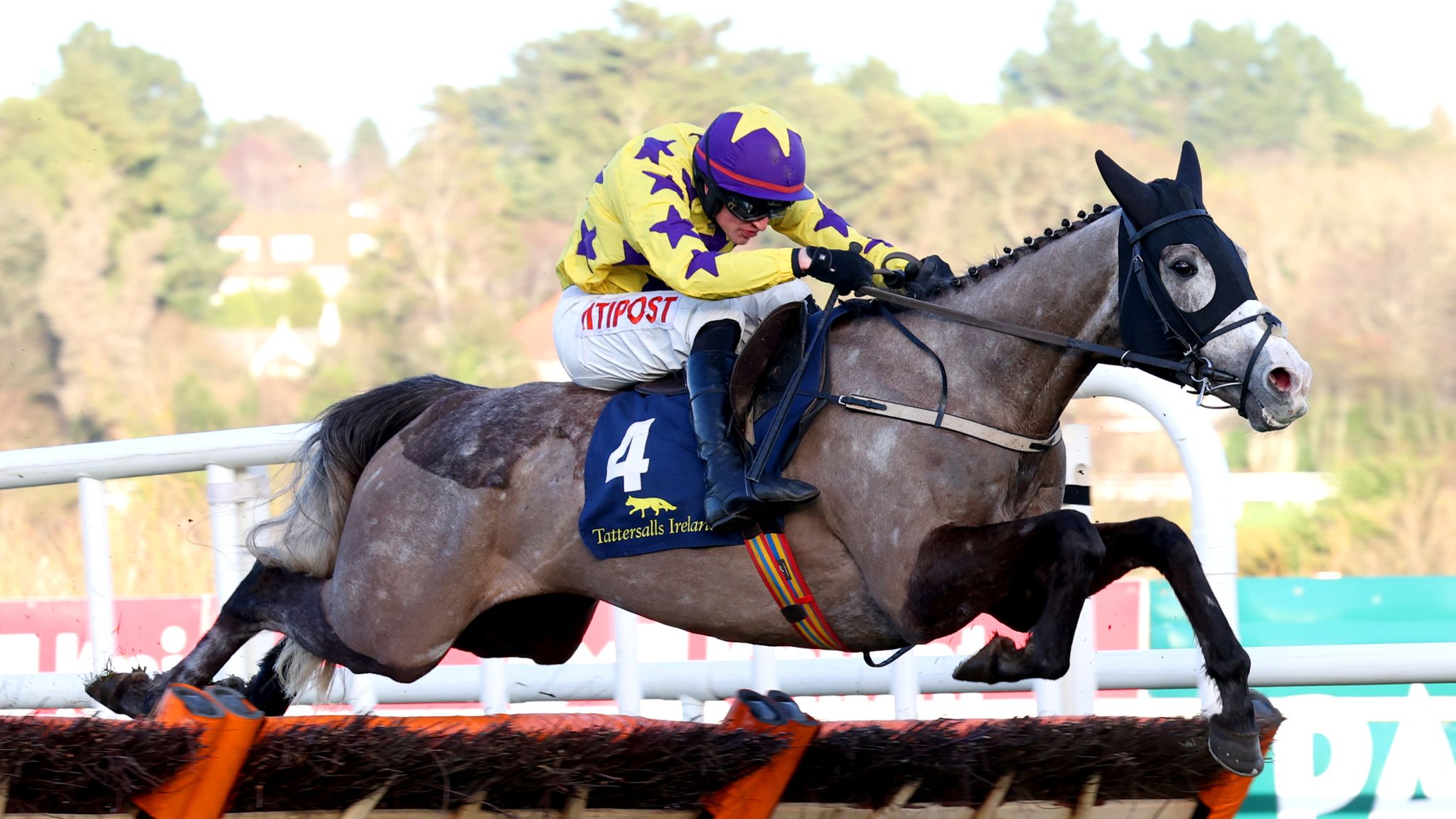Selections for Clonmel – Nov. 6th 2025