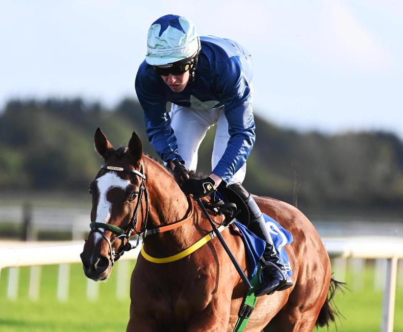 Selections for Naas – Mar. 30th 2023