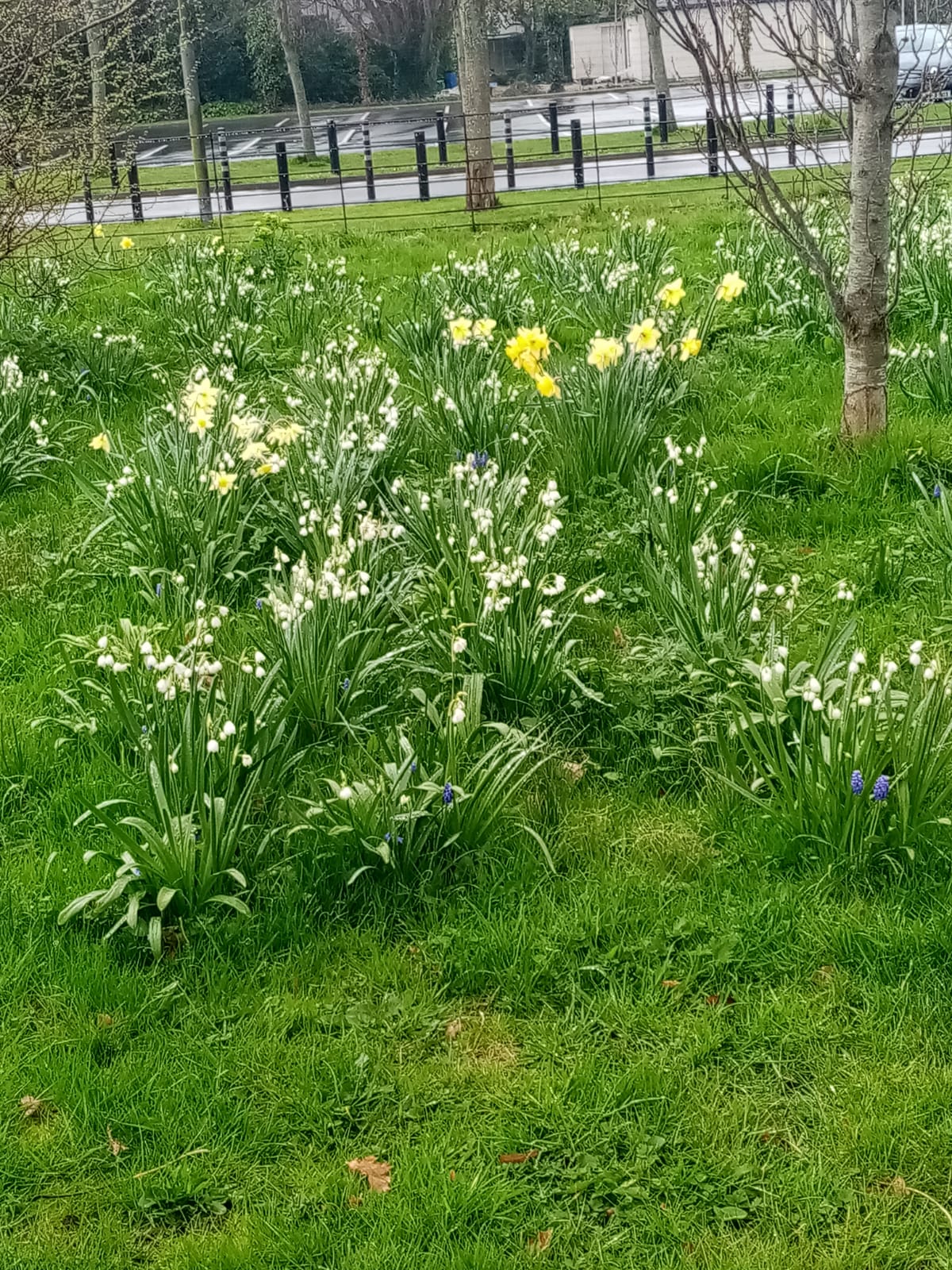 Let’s give this chicken a spin!