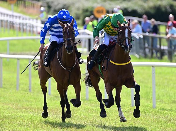 Selections for Downpatrick – July 13th 2023