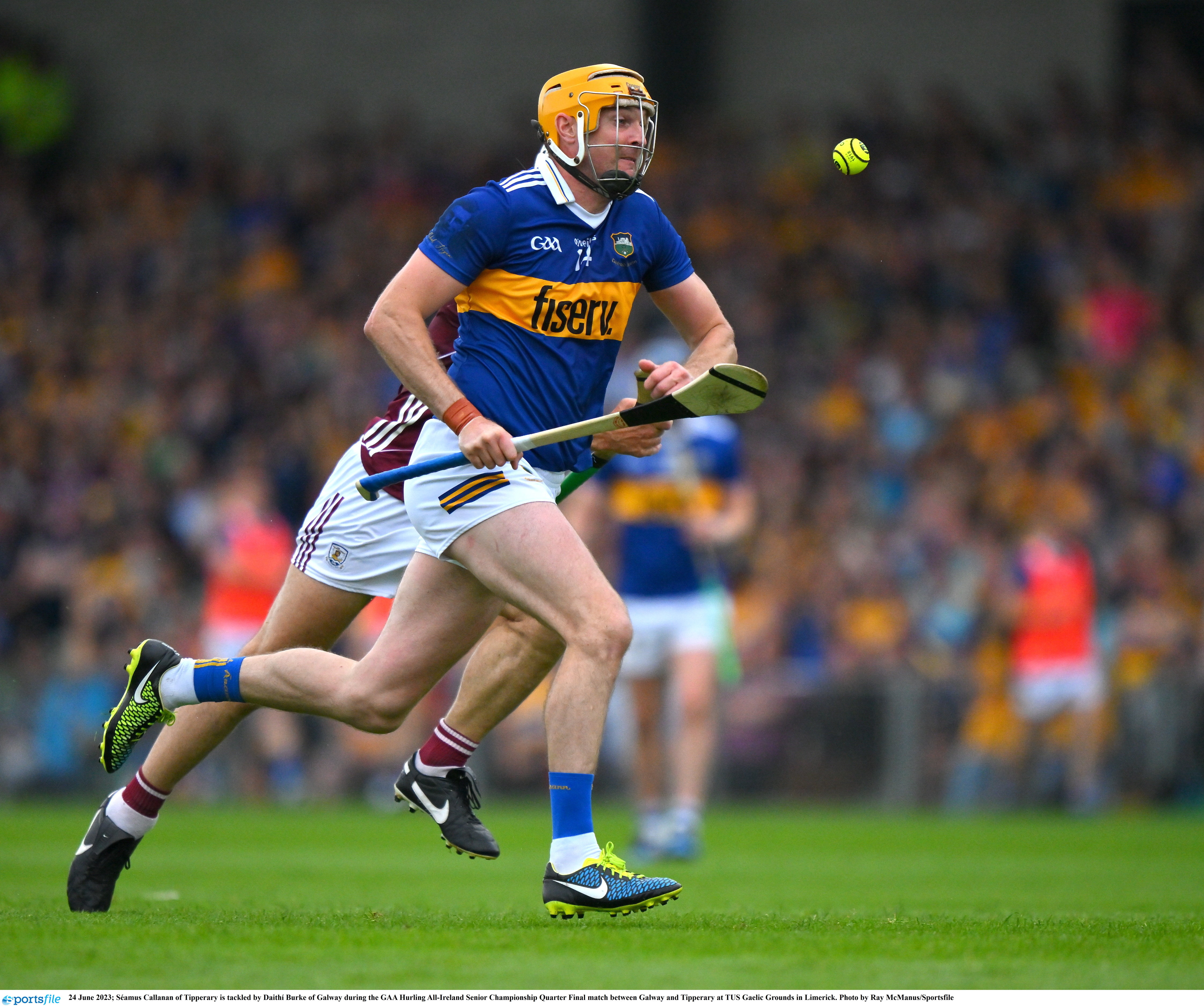 Two sparkling stars in a glittering galaxy