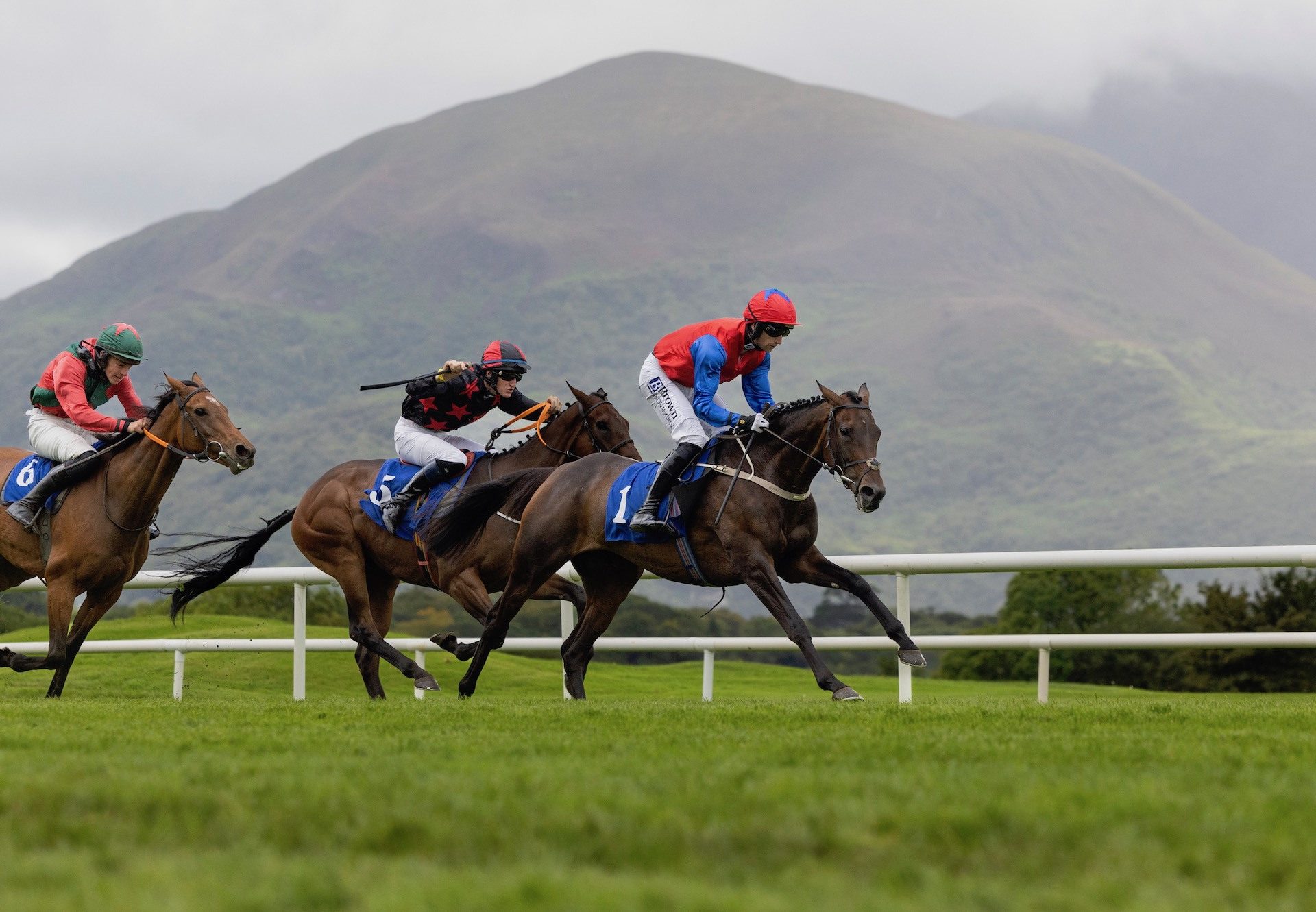 Selections for Gowran Park – Sept. 29th 2023