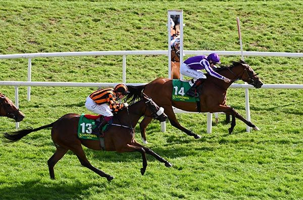 Selections for Cork – Sept. 26th 2023