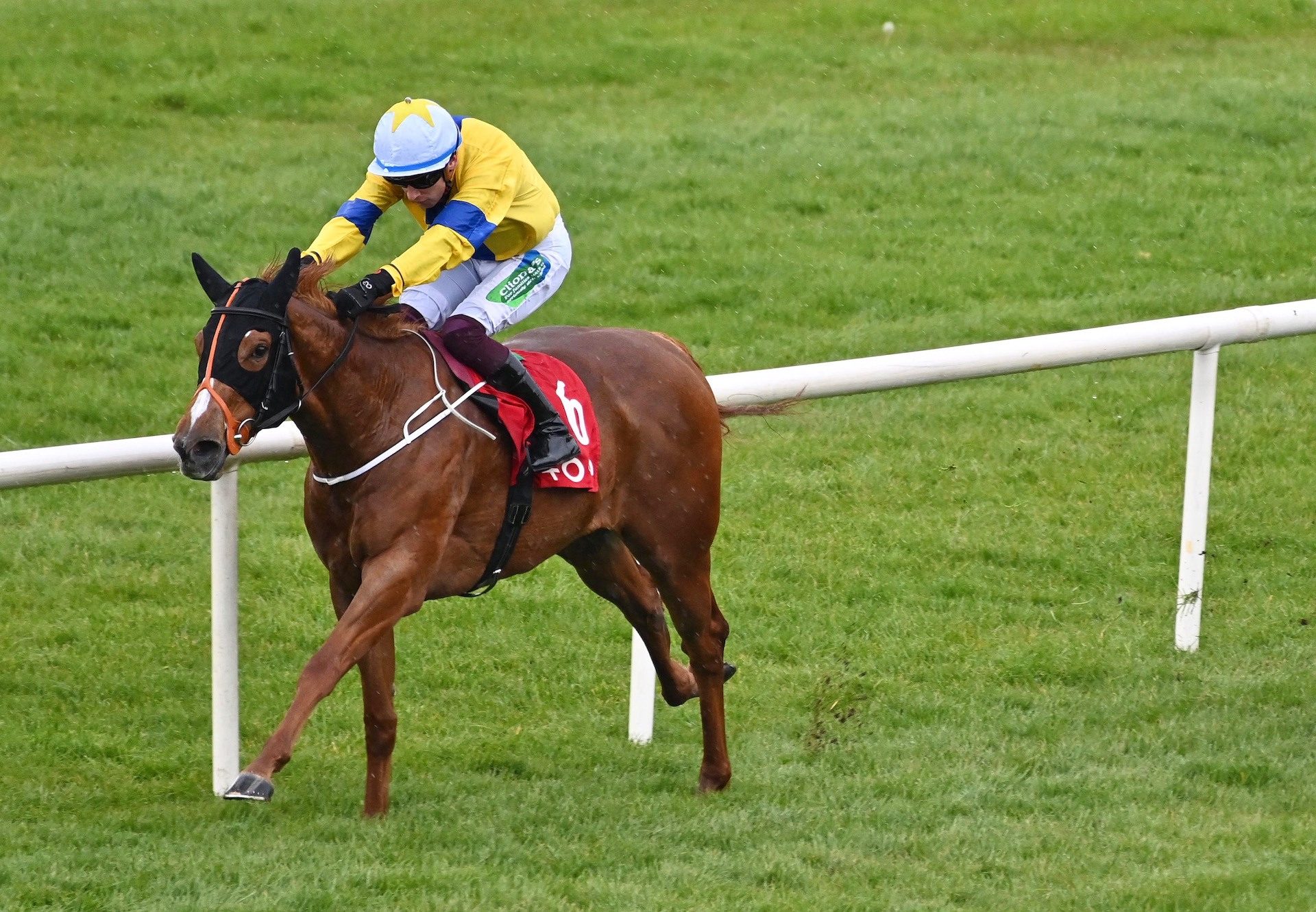 Selections for Curragh – Oct. 7th 2023