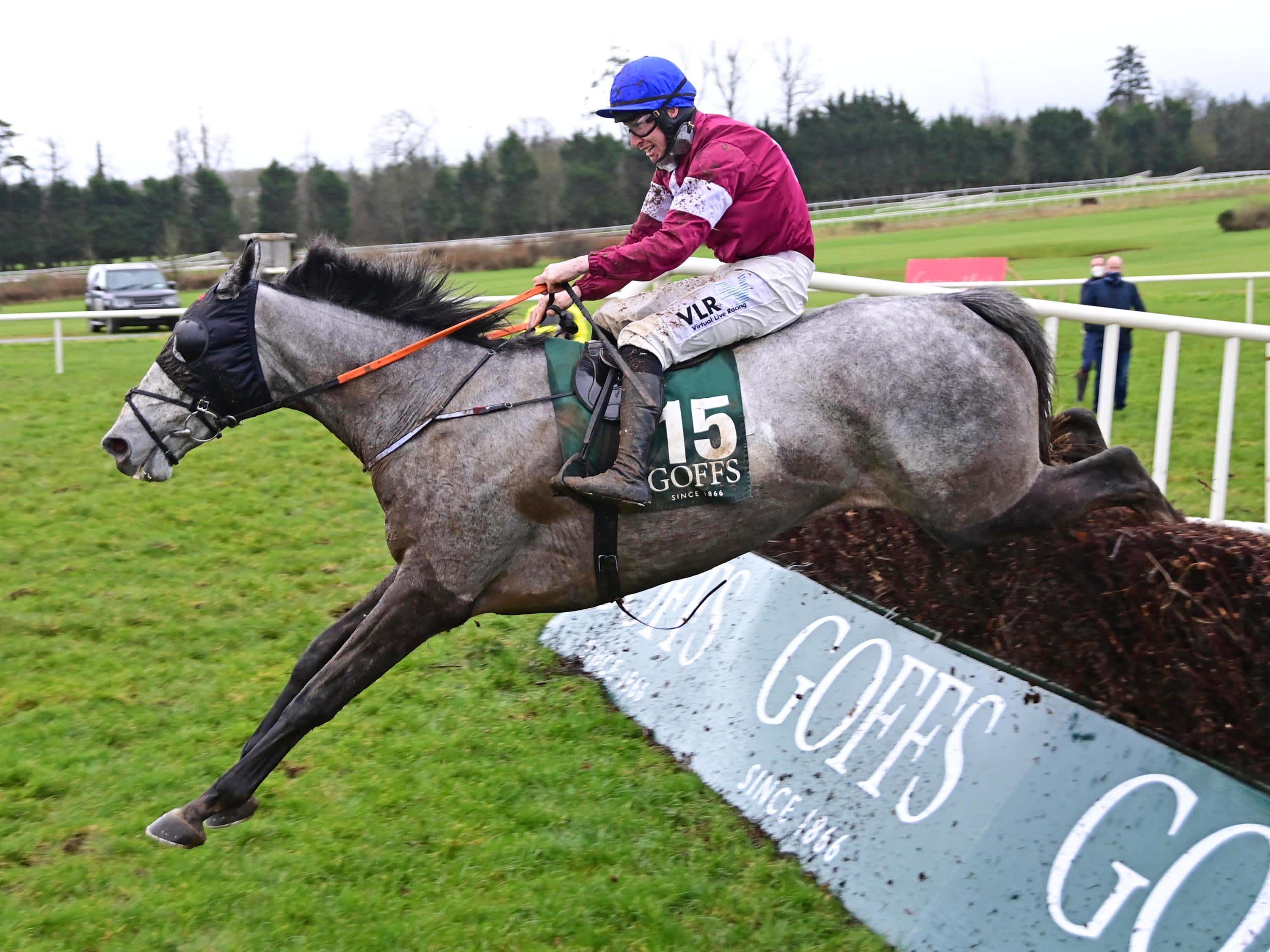 Selections for Punchestown – May 2nd 2024