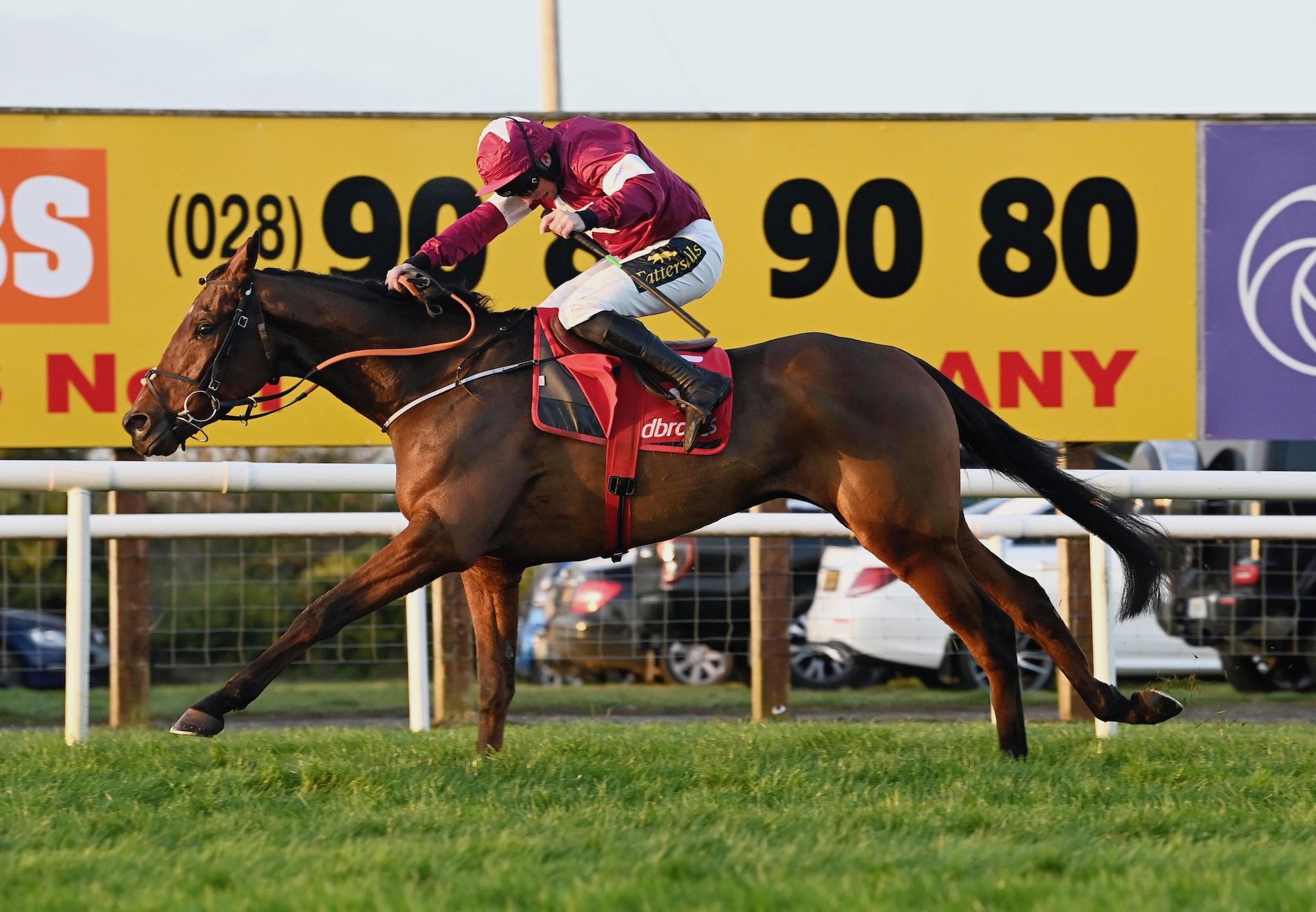 Selections for Fairyhouse – Oct. 2nd 2023