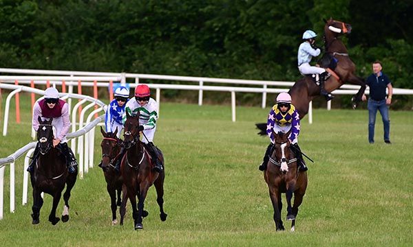 Selections for Limerick – Oct. 21st 2023
