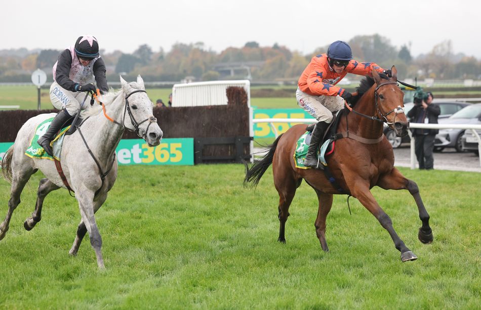 We could all do with the survival instinct of a Mouse!