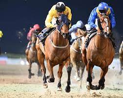 Selections for Dundalk – Jan. 26th 2024
