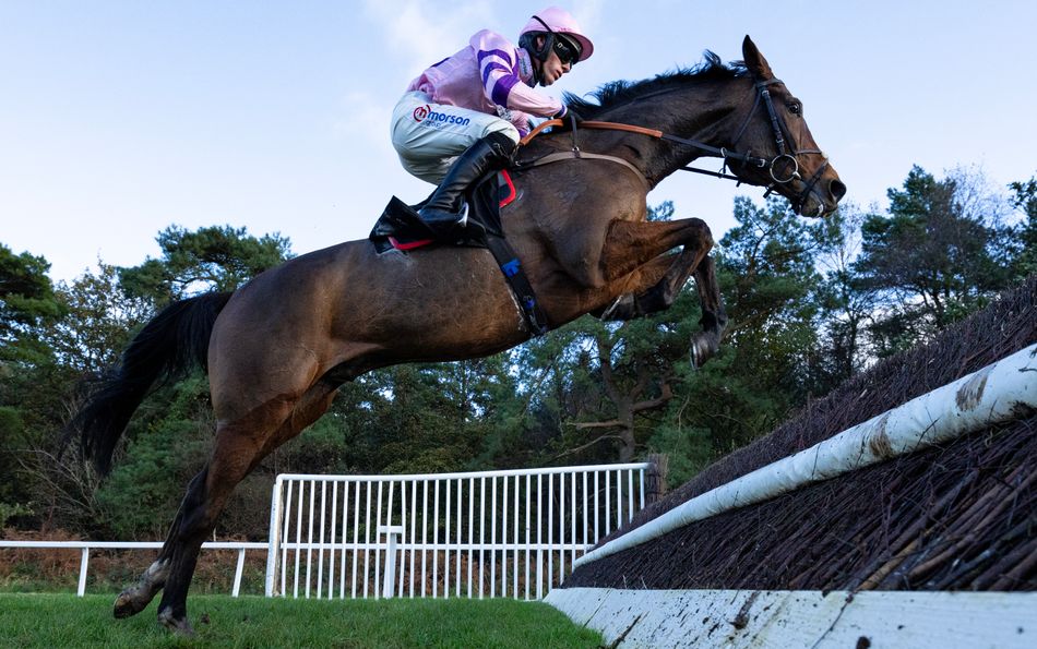 Cheltenham 2024 – Day 2