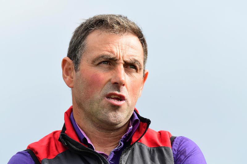 Selections for Wexford – Jul. 24th 2024