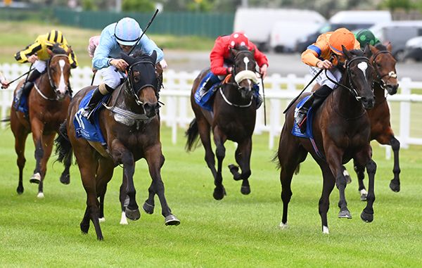 Selections for Bellewstown – Jul. 5th 2024