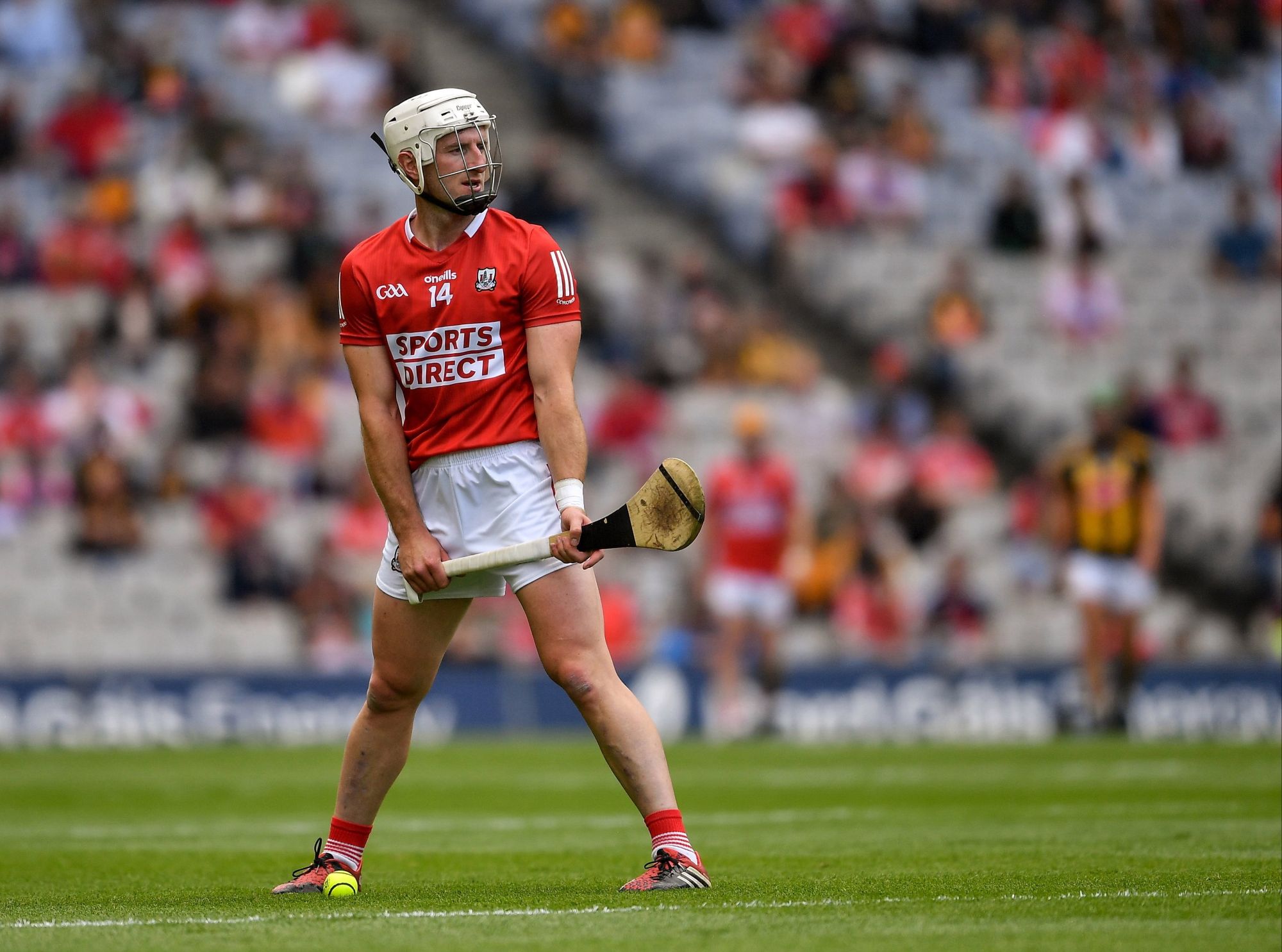 Thanks ‘Hoggy’ the pleasure has been all ours