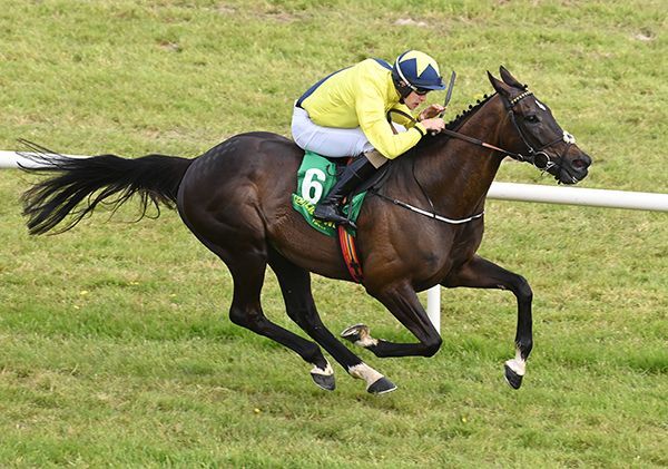 Selections for Galway – Jul. 29th 2024