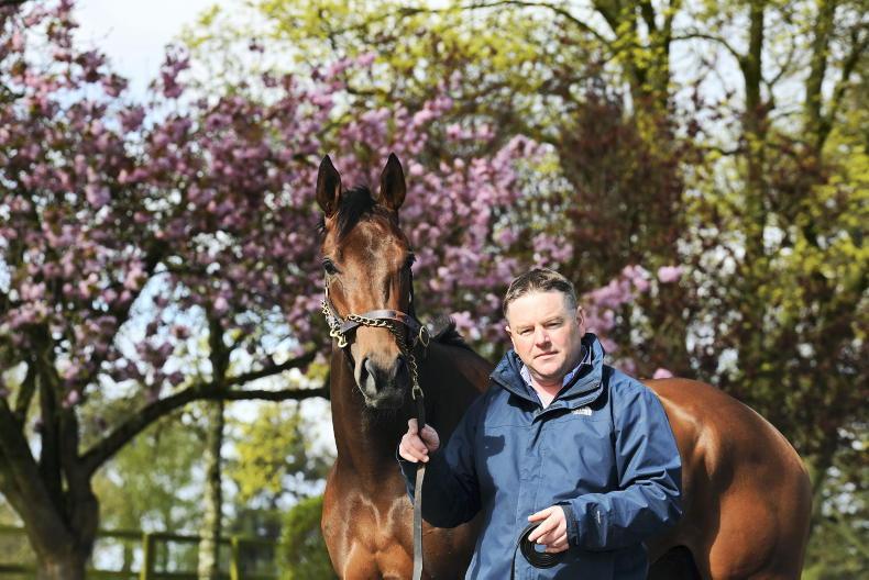 Selections for Ballinrobe – Aug. 26th 2024