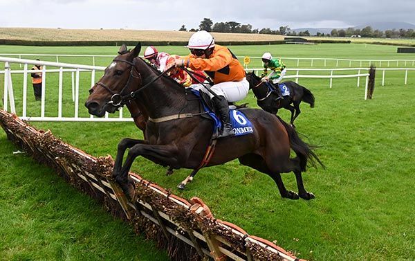 Selections for Tramore – Aug. 18th 2024