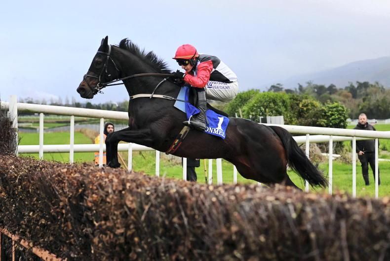 Selections for Punchestown – Dec. 31st 2024