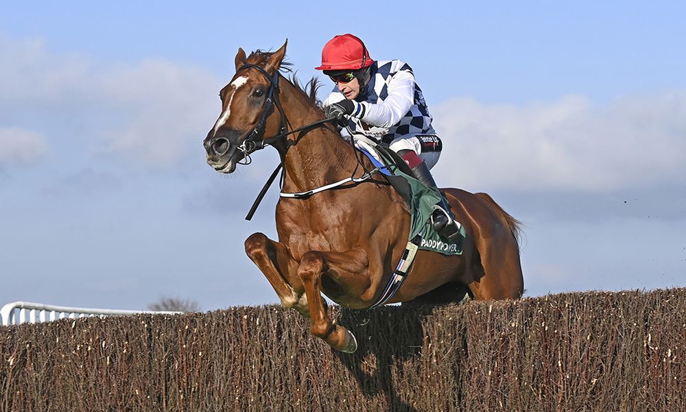 Selections for Down Royal – Oct. 31st 2026