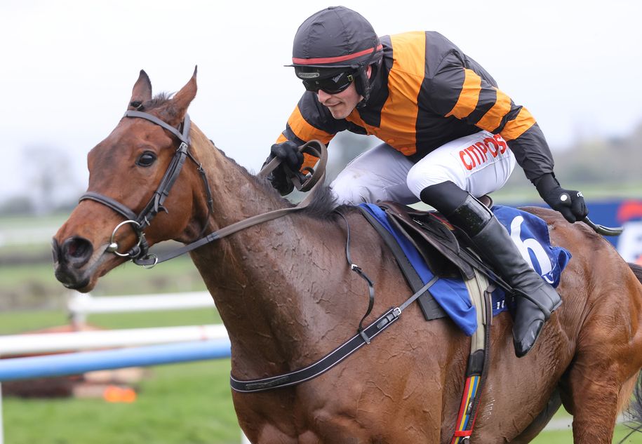 Selections for Fairyhouse – Feb. 22nd 2025