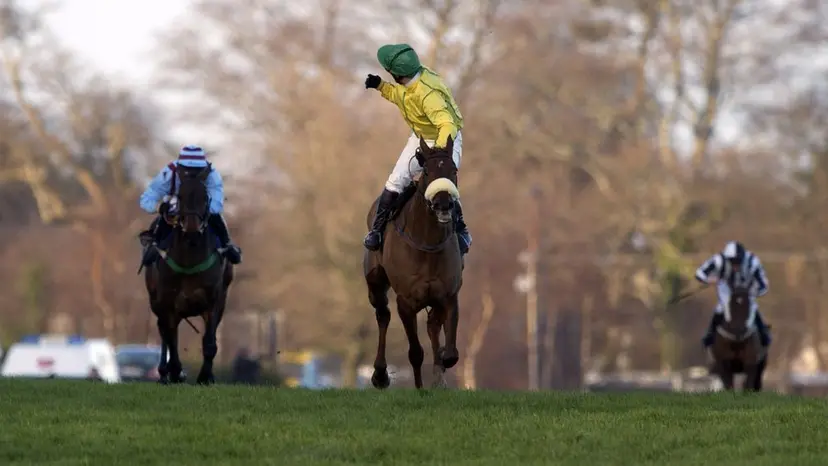 Gourmet dish off the menu as Hourigan hangs up the binoculars