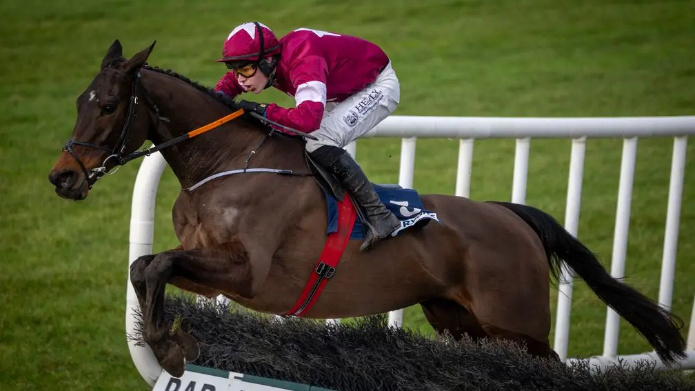 Selections for Punchestown – May 2nd 2025