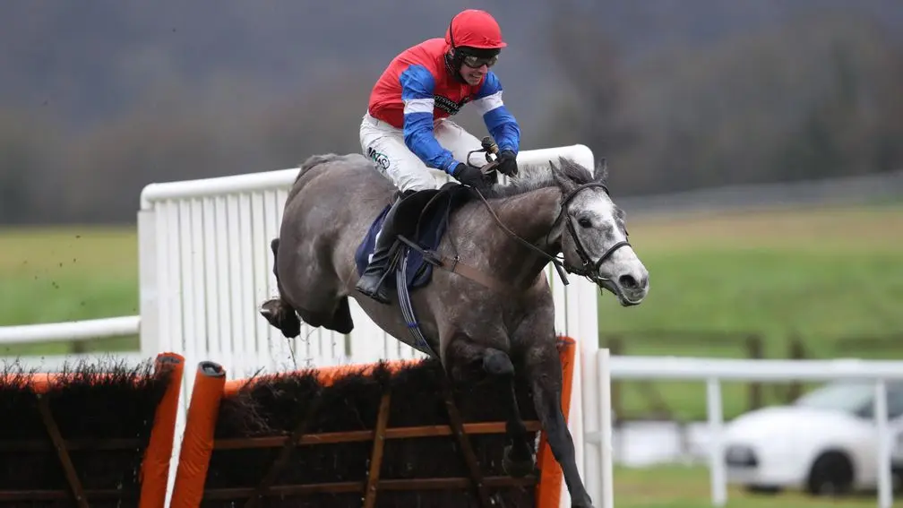 Selections for Cork – July 11th 2025