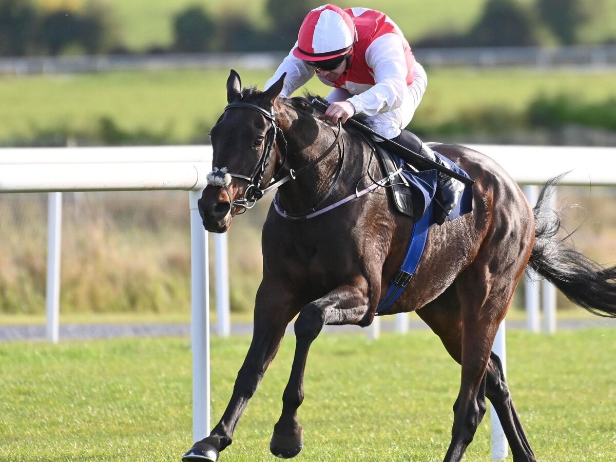 Selections for Roscommon – Jul. 1st 2025