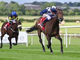 Selections for Naas – July 23rd 2025