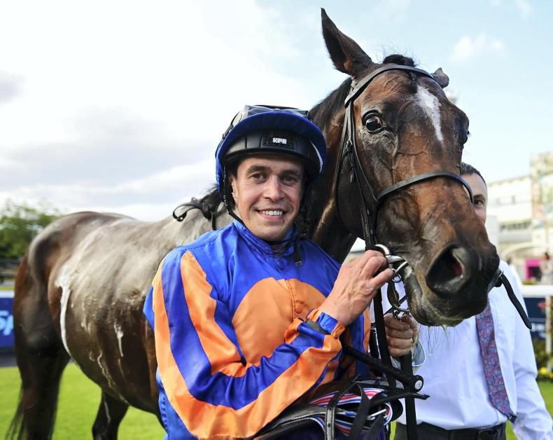 Selections for Naas – Sept. 18th 2025