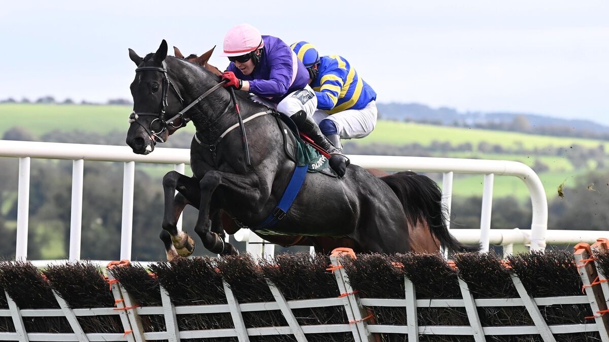 Selections for Listowel – Sept. 27th 2025
