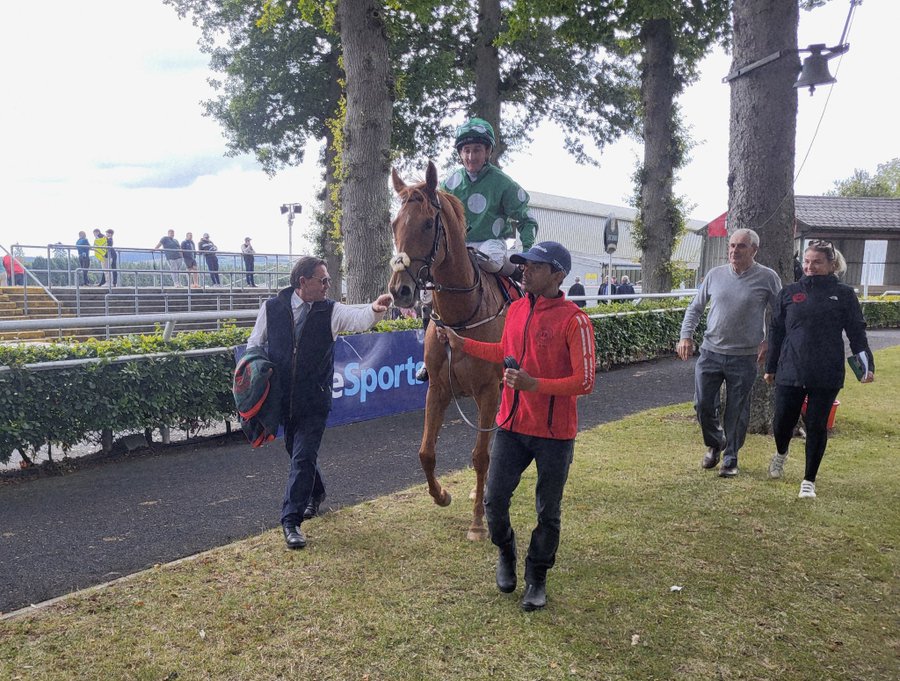 Selections for Punchestown – Sept. 16th 2025