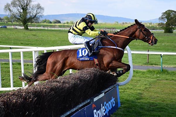 Selections for Navan – Sept. 20th 2025