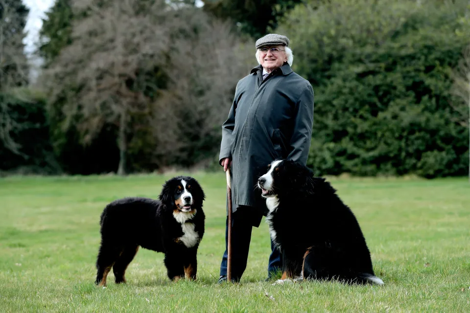 A picture paints a thousand words but may need more to repair