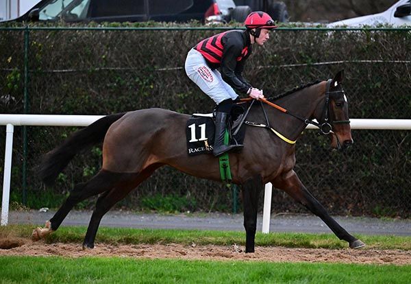 Selections for Punchestown – Apr. 29th 2026