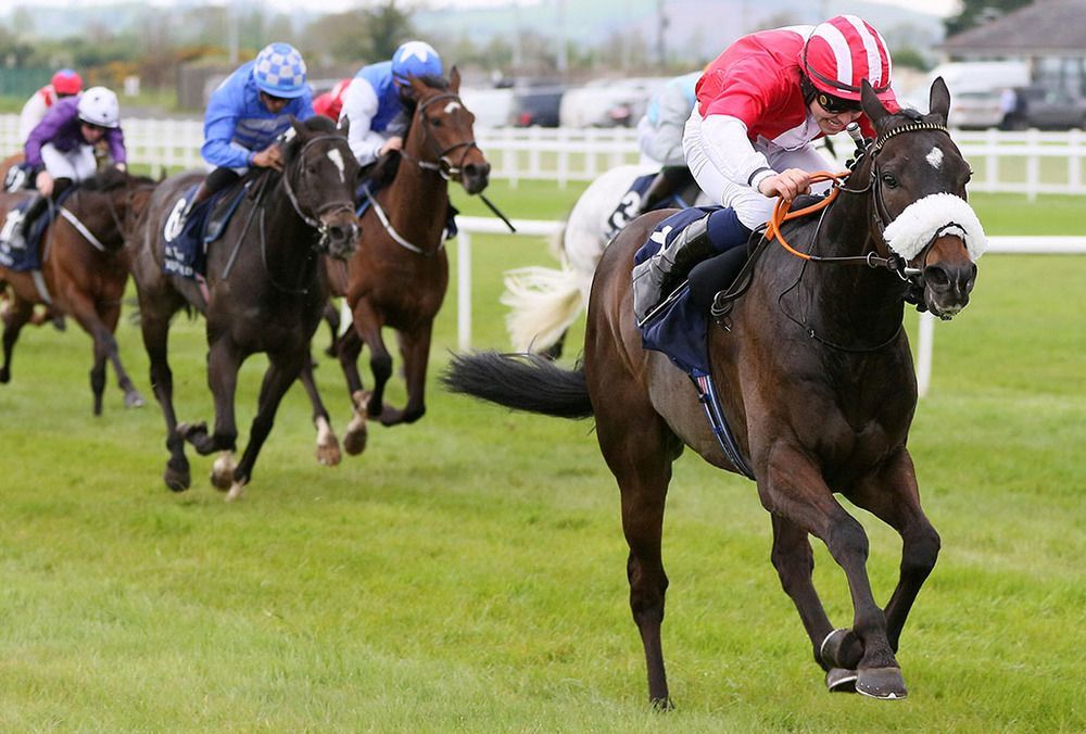 Selections for Curragh – Mar. 15th 2026