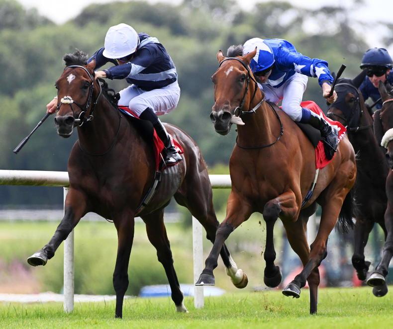 Selections for Curragh – June 3rd 2026